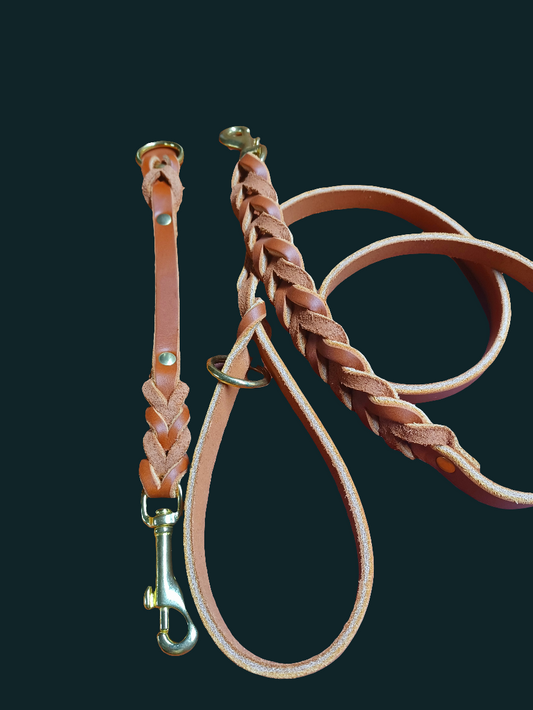 4' × 5/8 '  long braided chesnut leather leash and traing tab set with rings