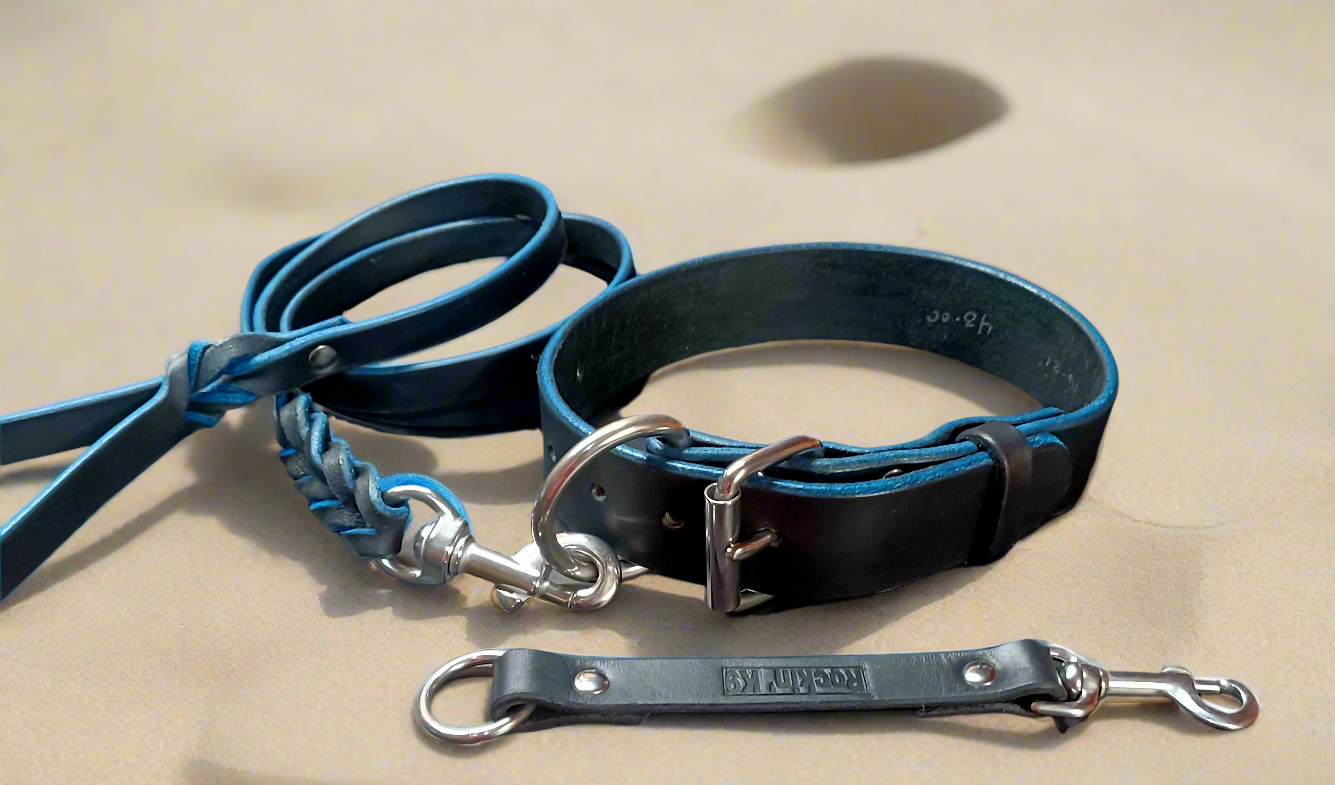 5/8' blue on black leash