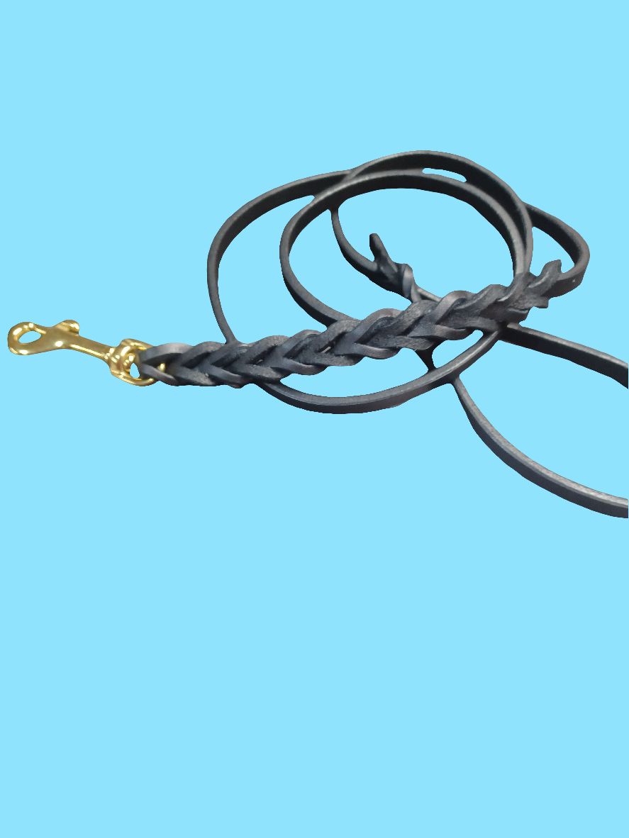 3/8' × 5 black braided leash