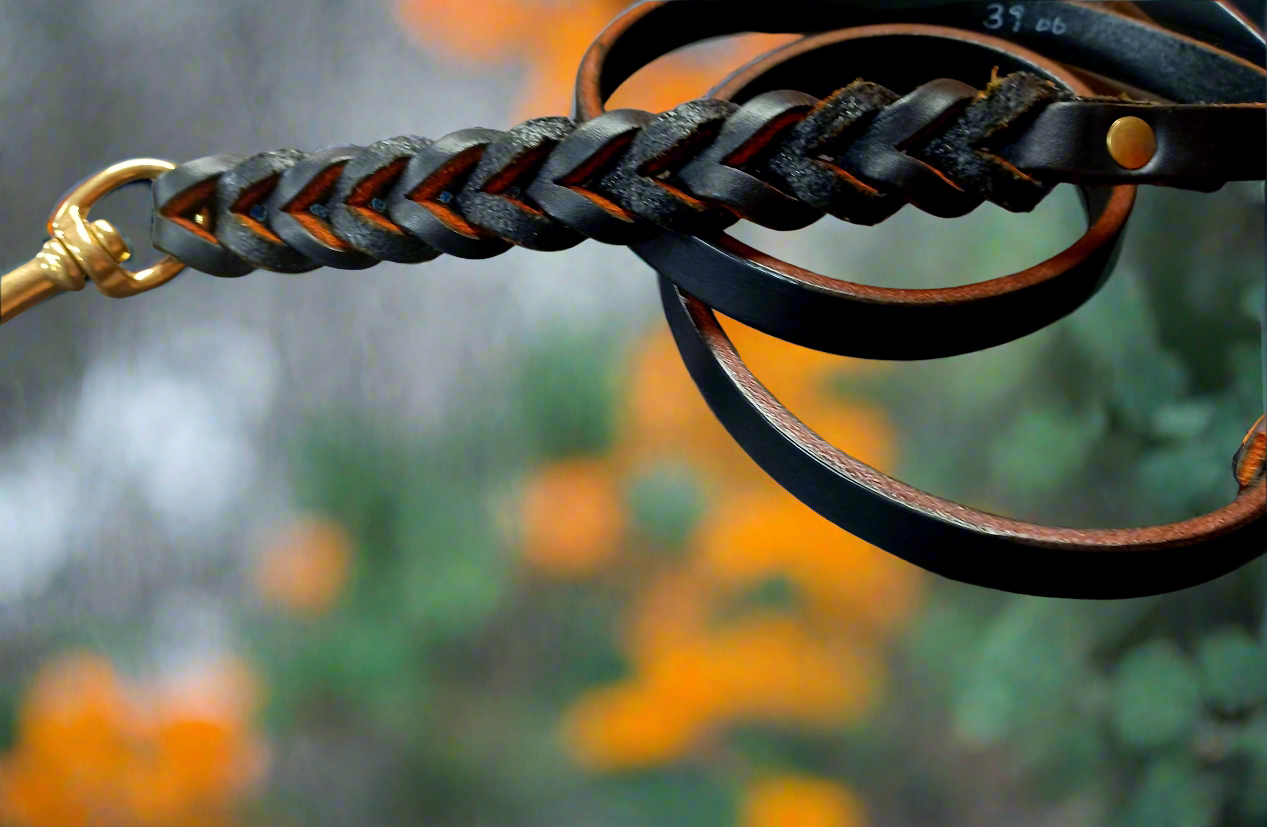 4'× 1/2' Black and burnt orange leash