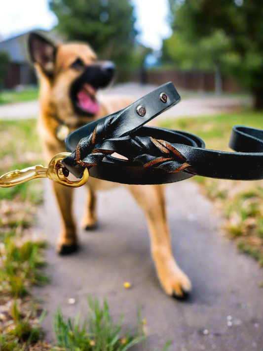 Black /brown agitation braided  leather leash