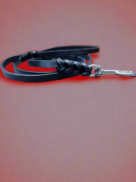 5 foot black braided leash no ring