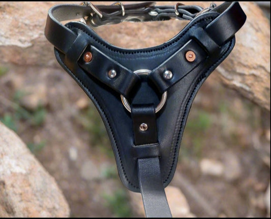 Agitation harness